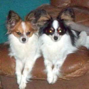 Meet your Posher, William