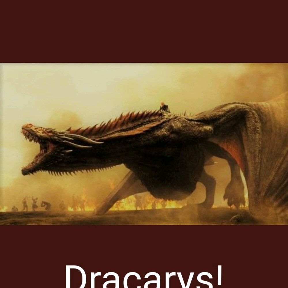 Meet your Posher, Evangeline