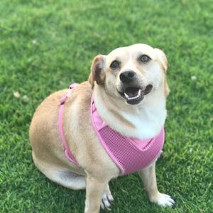 Meet your Posher, Kim