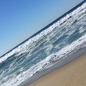 Meet your Posher, Rose