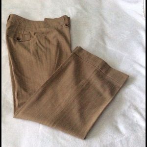 Ann Taylor Loft Dressy Pants
