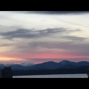 Meet your Posher, Pheobe