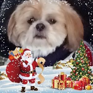 Meet your Posher, Sneh