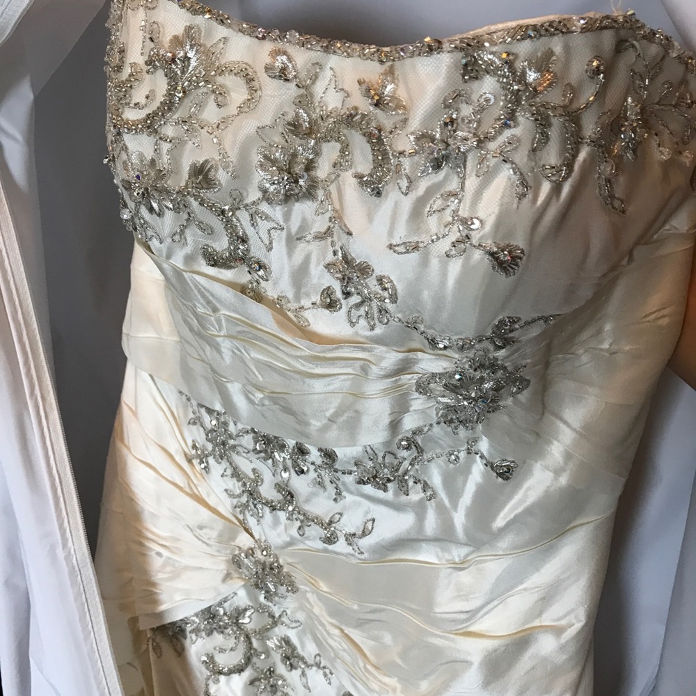 Piccione Wedding Gown - Picture 4 of 5