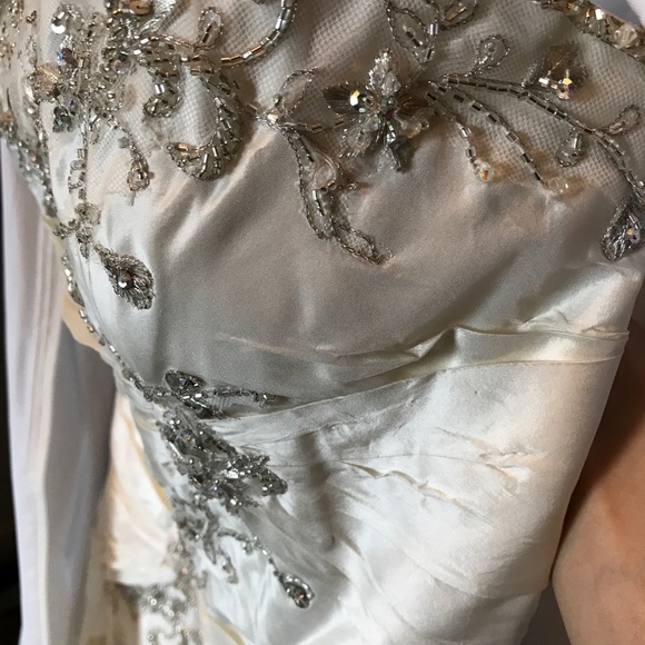 Piccione Wedding Gown - Picture 5 of 5