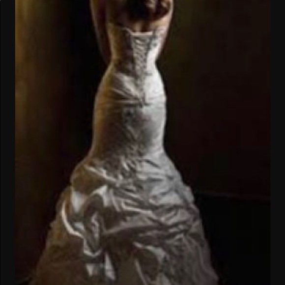 Piccione Wedding Gown - Picture 2 of 5