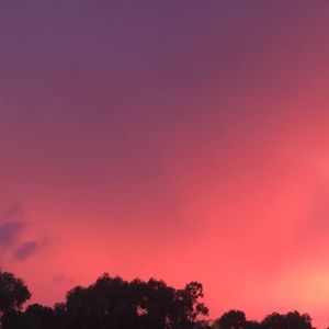 Meet your Posher, Annabella