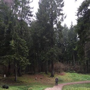 Meet your Posher, Sean