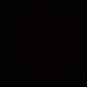 Meet your Posher, Oscar