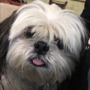 Meet your Posher, Seth