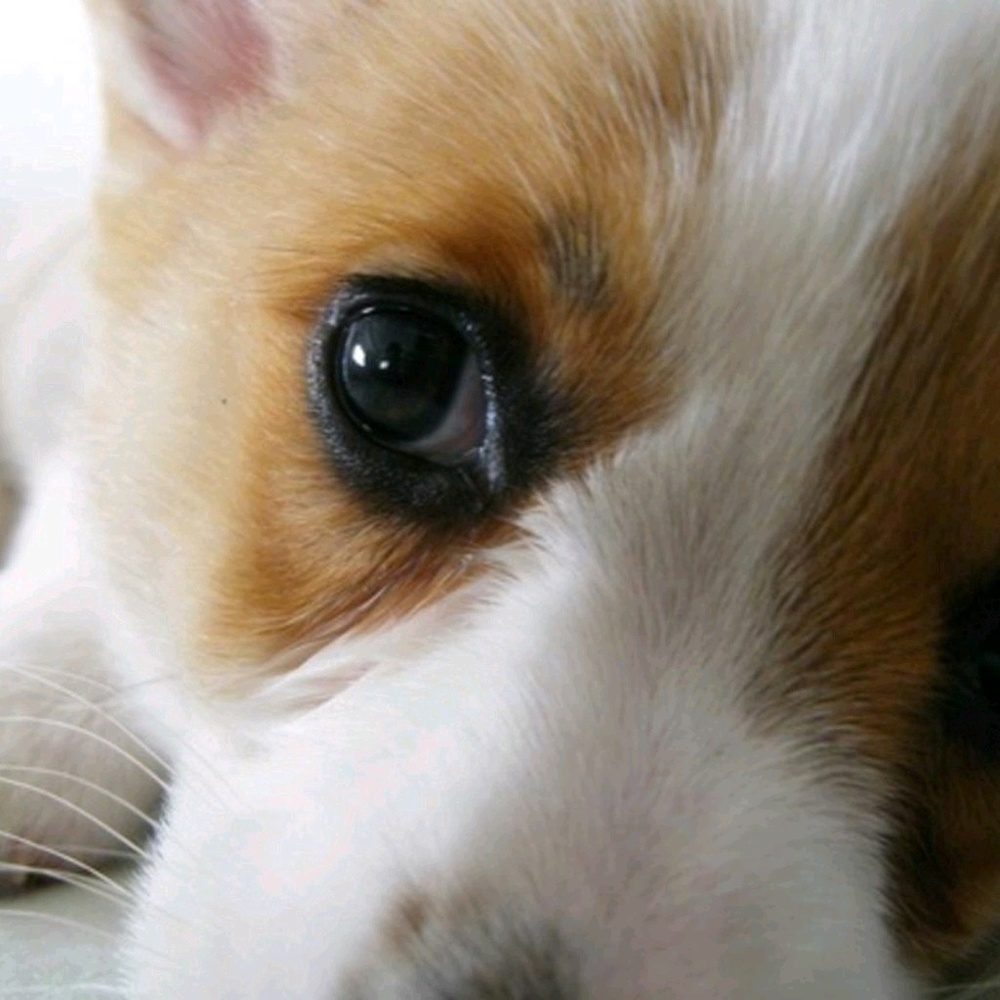 Meet your Posher, Ashlee