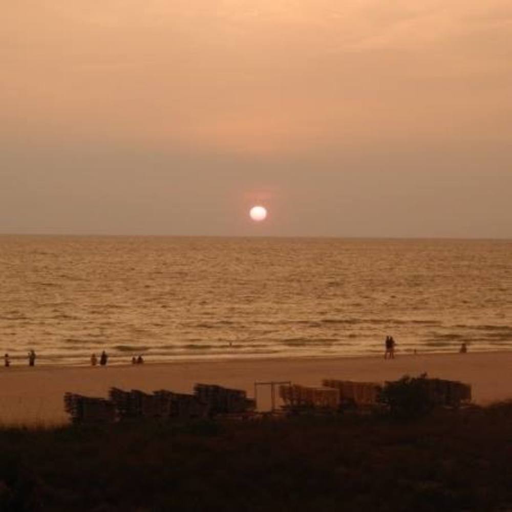 Meet your Posher, Gigi