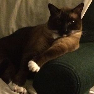 Meet your Posher, Bridgette