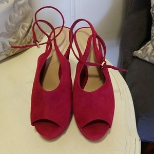 Aldo Ankle Strap Platform Wedges