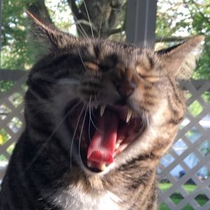 Meet your Posher, Justin