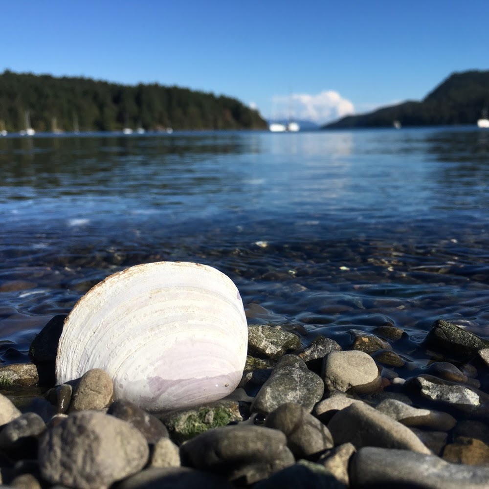 Meet your Posher, Clarke