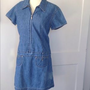 Liz wear vintage denim dress