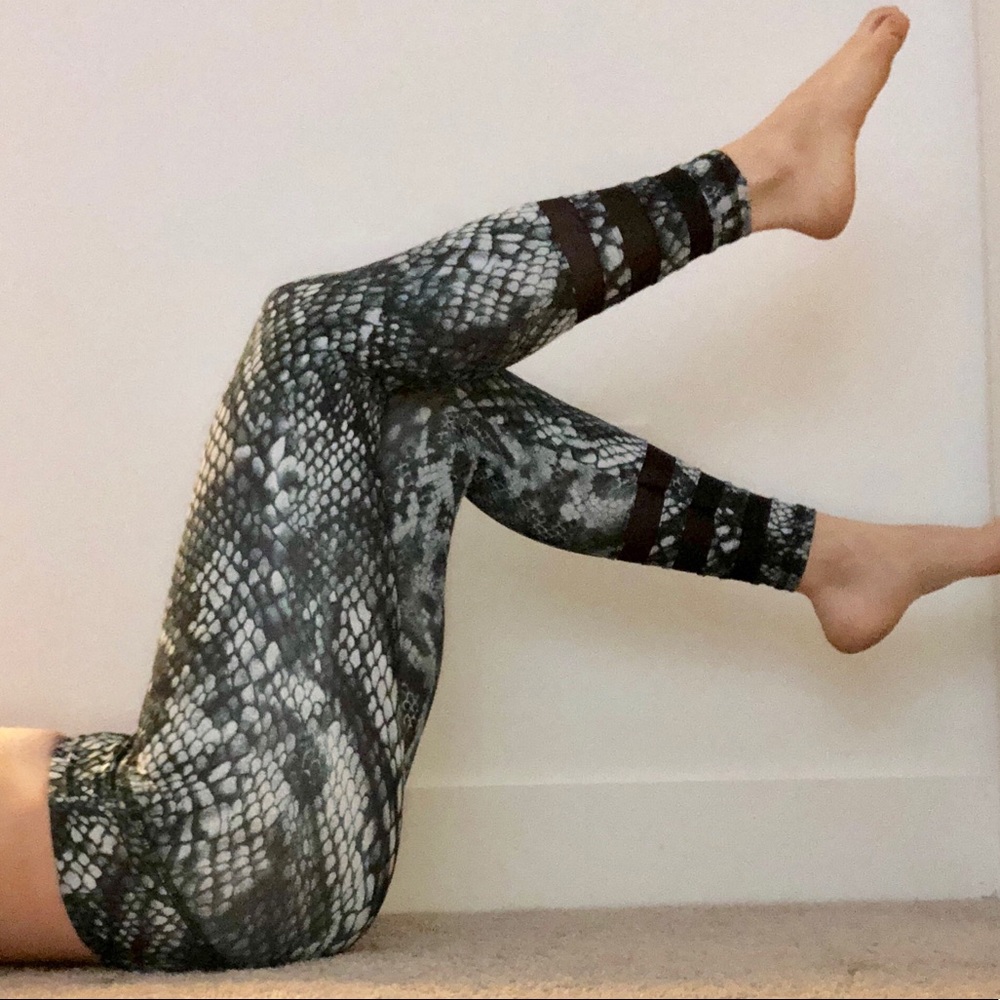 Strut-This Snake Skin with Mesh Detail Legging / S