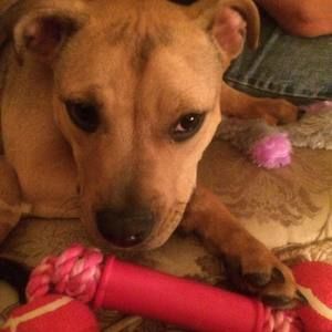 Meet your Posher, Walter