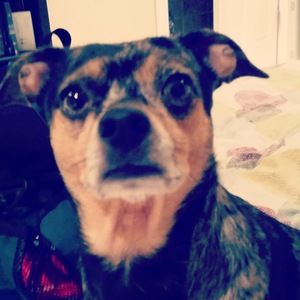 Meet your Posher, Audra