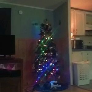 Meet your Posher, Lance