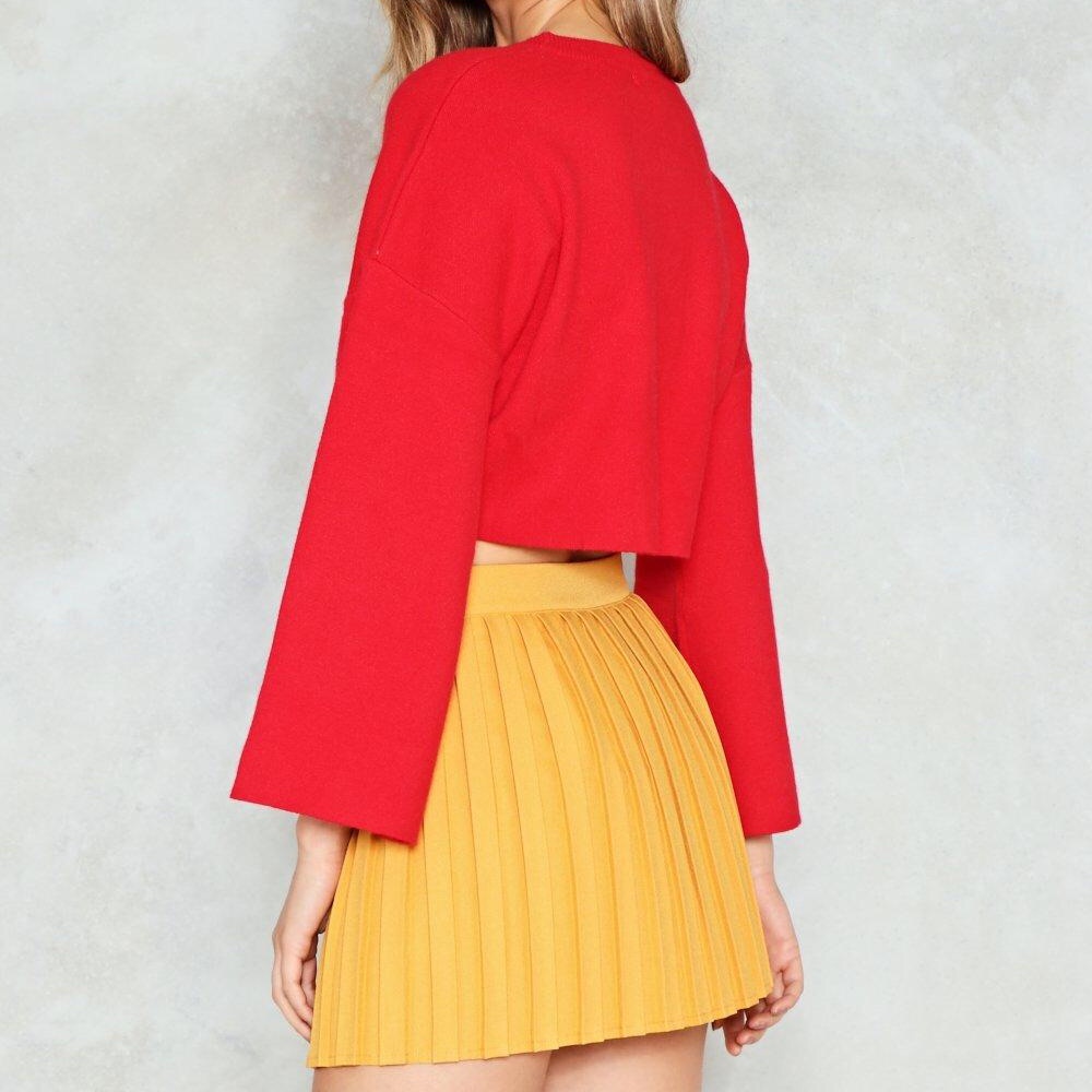 NWT Nasty Gal Pleated Skirt