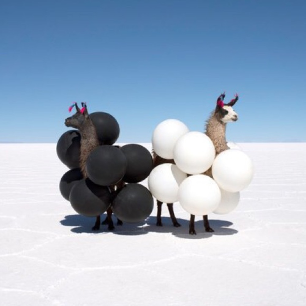 Meet your Posher, Thomas