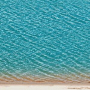 Meet your Posher, Donovan