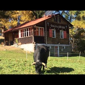 Meet your Posher, Blake