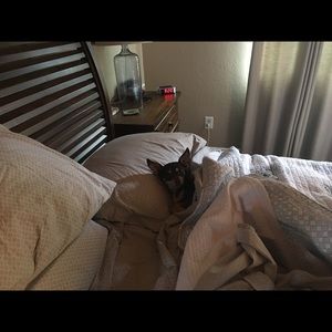 Meet your Posher, Alex