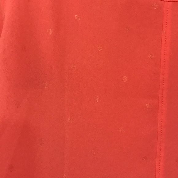 Sheer Button Down blouse - Picture 7 of 7