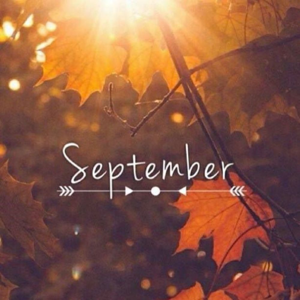 Meet your Posher, Ra'chel