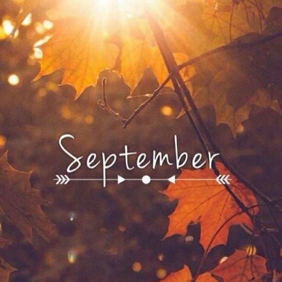 Meet your Posher, Ra'chel - Picture 1 of 1