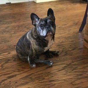 Meet your Posher, Dawn