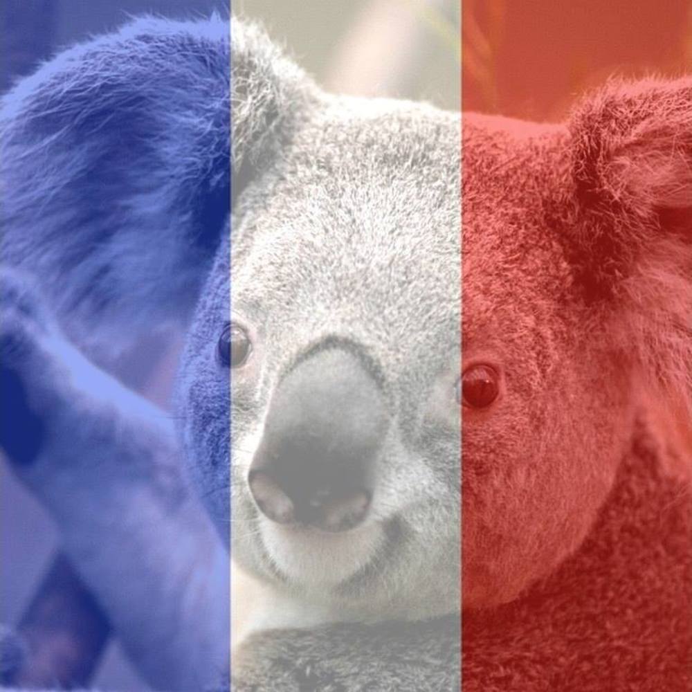 Meet your Posher, Sherry