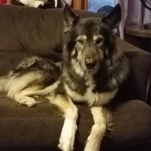 Meet your Posher, April