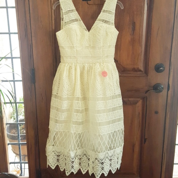 *Final Drop!* NWT ASOS | Lace Party Dress 6/8 - Picture 7 of 8