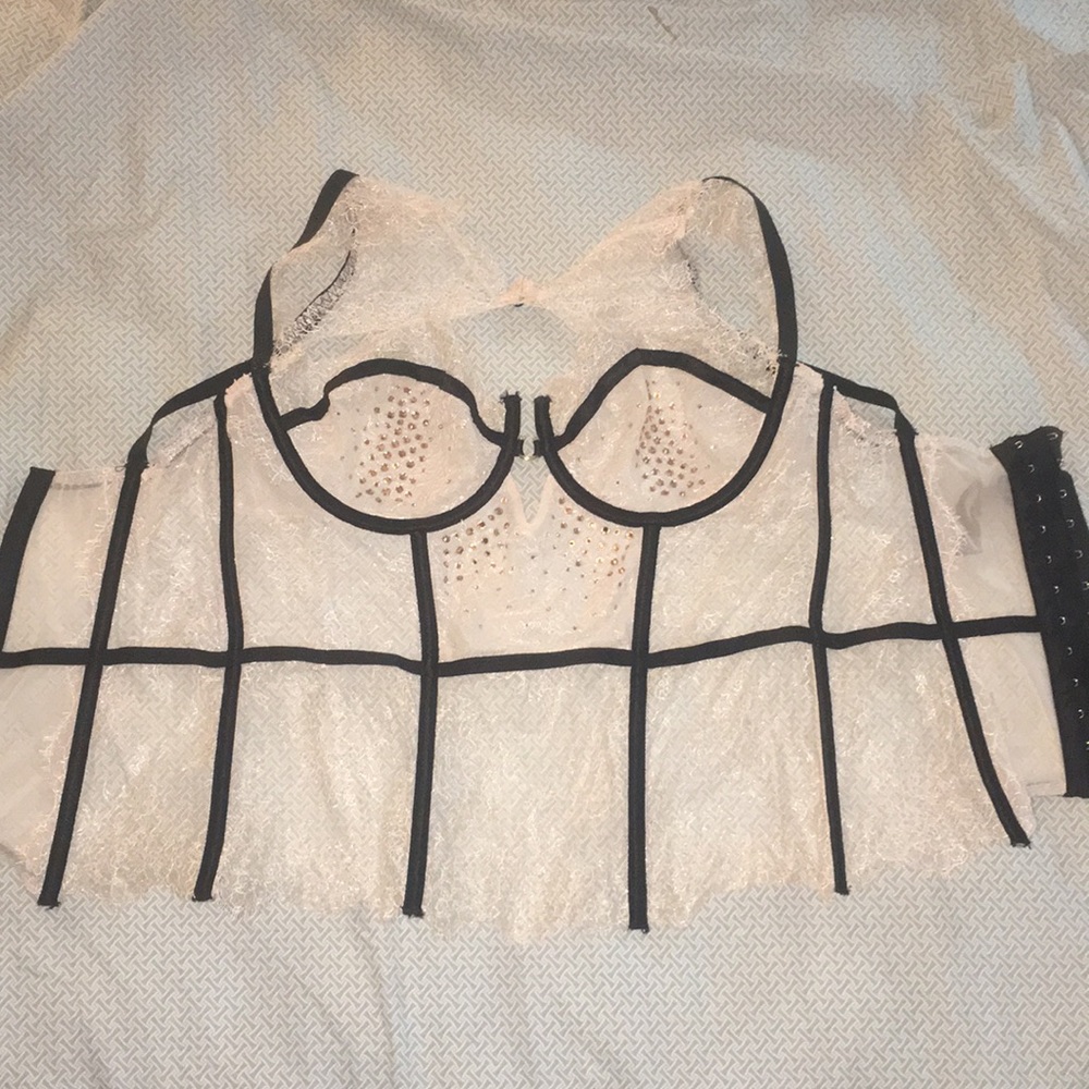 Beautiful Victoria’s Secret Corset Lingerie