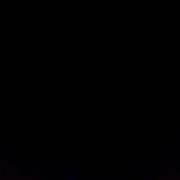 Meet your Posher, Oshean - Picture 1 of 1