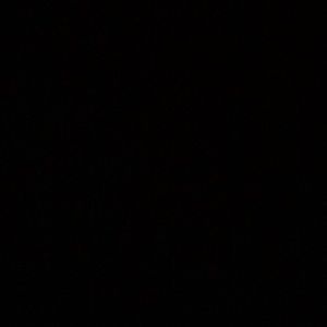 Meet your Posher, Thea