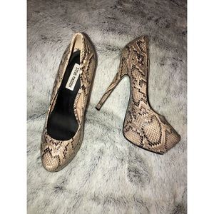 Steve Madden Snakeskin Pumps