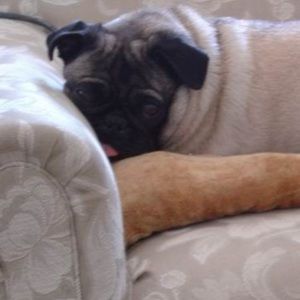 Meet your Posher, Brian