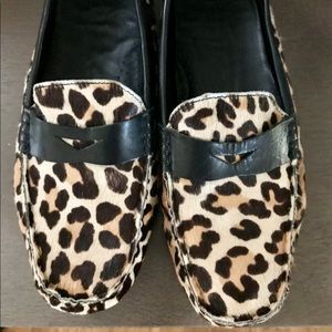 Cole Haan Leopard Driving loafer