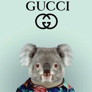 Meet your Posher, Alisha