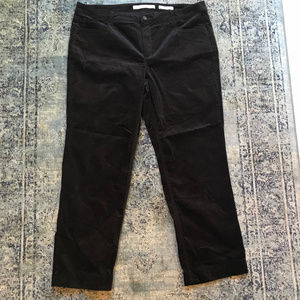 Jones New York Lexington Straight Plus Pants 18W