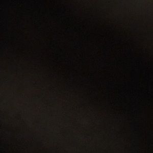 Meet your Posher, Lily