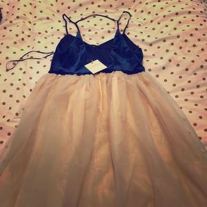 Lauren Conrad Runway velvet and tulle dress
