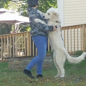 Meet your Posher, Carolyn