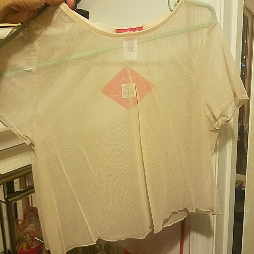 Nude See-Through crop top