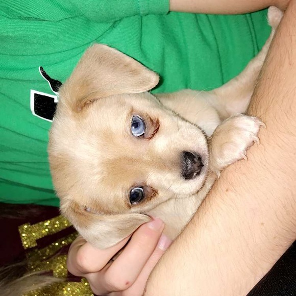 Meet your Posher, Caleb - Picture 1 of 1